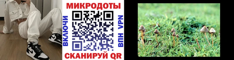 Псилоцибиновые грибы Cubensis Михайловка